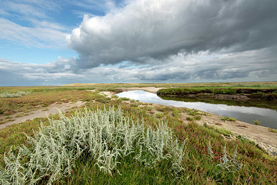 BUITEN BEELD Foto: 396452