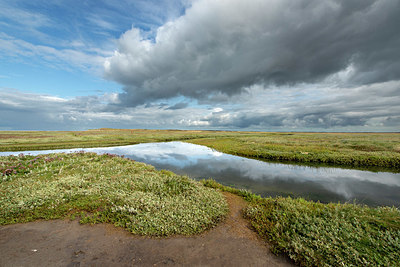 BUITEN BEELD Foto: 396456