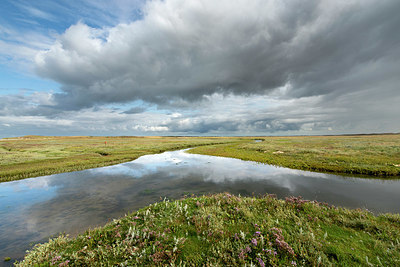 BUITEN BEELD Foto: 396458