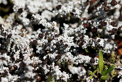 BUITEN BEELD Foto: 397249