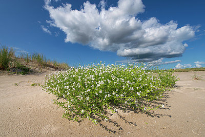 BUITEN BEELD Foto: 397575