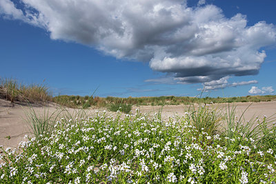 BUITEN BEELD Foto: 397577