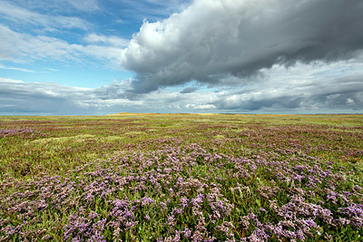 BUITEN BEELD Foto: 397588