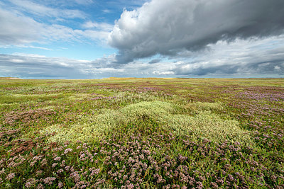 BUITEN BEELD Foto: 397590