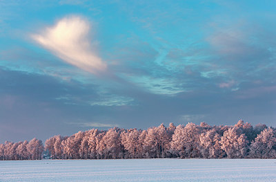 BUITEN BEELD Foto: 397591