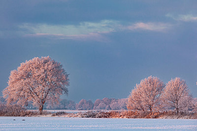 BUITEN BEELD Foto: 397592