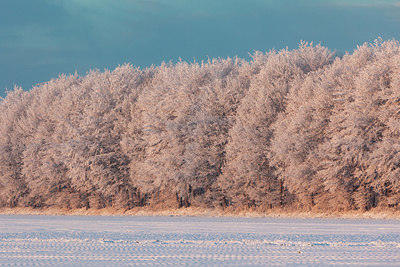 BUITEN BEELD Foto: 397595