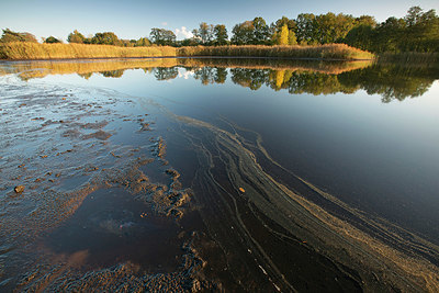 BUITEN BEELD Foto: 397621