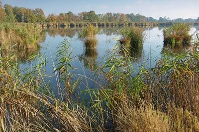 BUITEN BEELD Foto: 397622