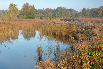 BUITEN BEELD Foto: 397623