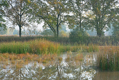 BUITEN BEELD Foto: 397626