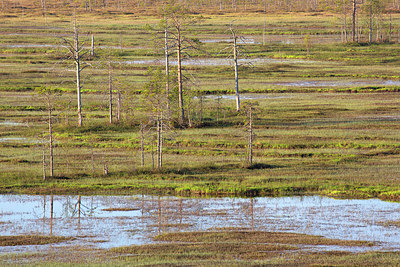 BUITEN BEELD Foto: 397630