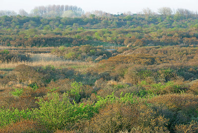 BUITEN BEELD Foto: 397640