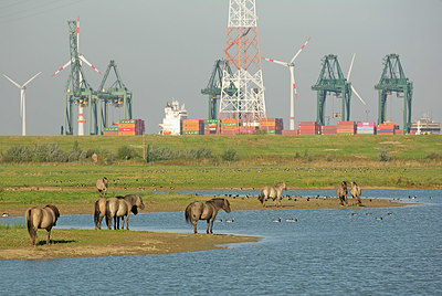 BUITEN BEELD Foto: 397668