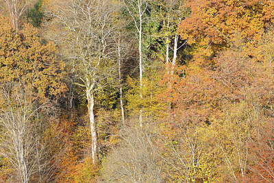 BUITEN BEELD Foto: 397710