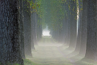 BUITEN BEELD Foto: 397713