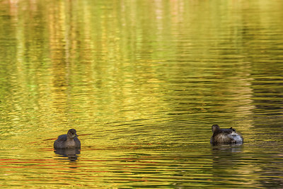 BUITEN BEELD Foto: 397787