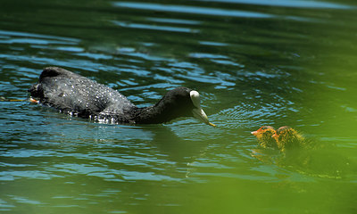 BUITEN BEELD Foto: 397791