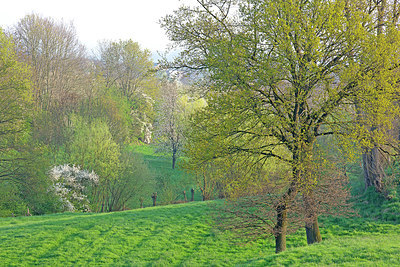 BUITEN BEELD Foto: 397797