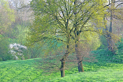 BUITEN BEELD Foto: 397798