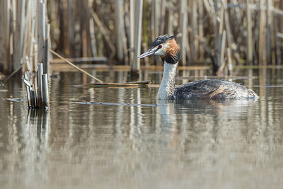 BUITEN BEELD Foto: 397800
