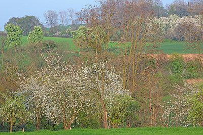 BUITEN BEELD Foto: 397802