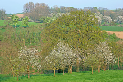 BUITEN BEELD Foto: 397813