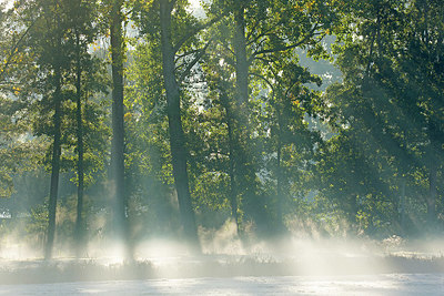 BUITEN BEELD Foto: 397818