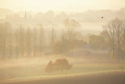 BUITEN BEELD Foto: 397838