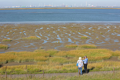 BUITEN BEELD Foto: 397880