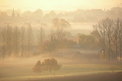 BUITEN BEELD Foto: 397897