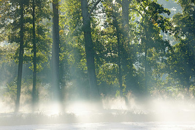 BUITEN BEELD Foto: 397919