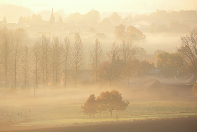 BUITEN BEELD Foto: 397927