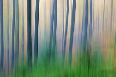 BUITEN BEELD Foto: 397934