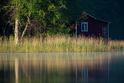 BUITEN BEELD Foto: 397942