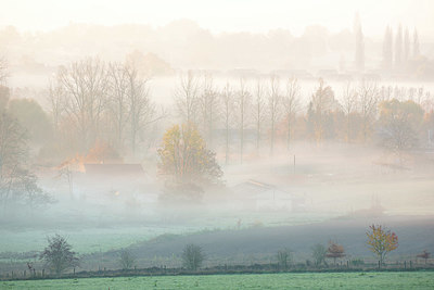 BUITEN BEELD Foto: 397966