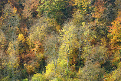 BUITEN BEELD Foto: 397977