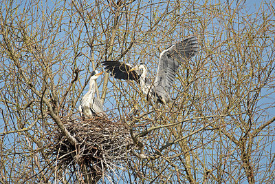 BUITEN BEELD Foto: 398228