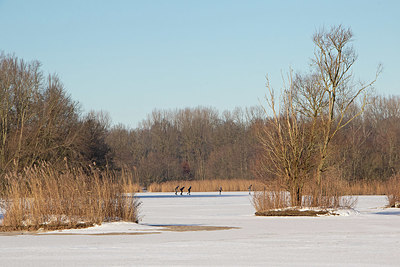BUITEN BEELD Foto: 398234