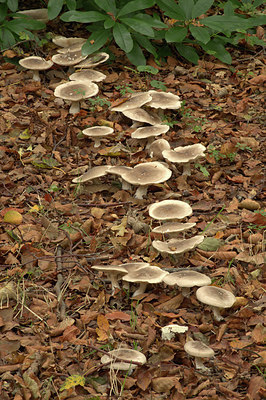 BUITEN BEELD Foto: 398457