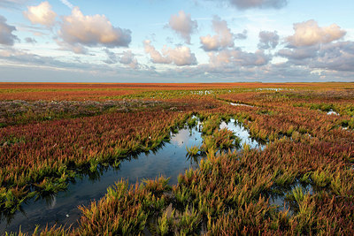 BUITEN BEELD Foto: 398480