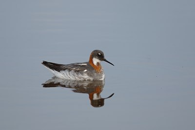 BUITEN BEELD Foto: 3171