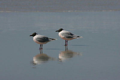 BUITEN BEELD Foto: 3339