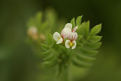 BUITEN BEELD Foto: 3465