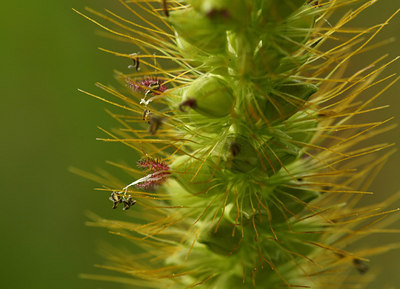 BUITEN BEELD Foto: 3474