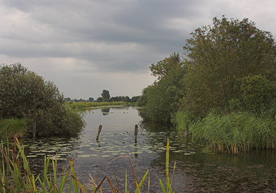BUITEN BEELD Foto: 3544