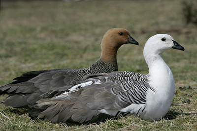 BUITEN BEELD Foto: 3580