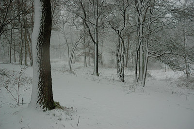 BUITEN BEELD Foto: 3727