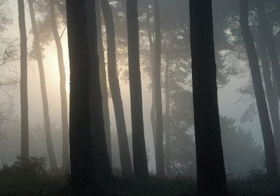 BUITEN BEELD Foto: 3743