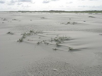 BUITEN BEELD Foto: 3873